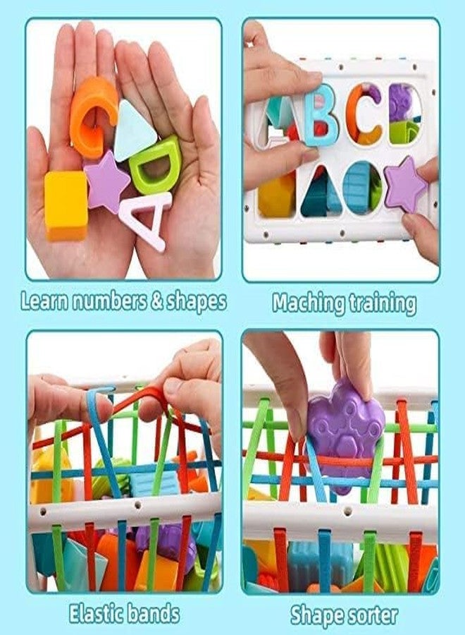 NIYANETAIL Baby Shape Sorting Toy, Colorful Elastic Bands Sensory Shape Sorter Bins with Balls & Blocks, Early Learning Preschool Educational Baby (14 Pcs Shape) (14 PCS) - Image 3